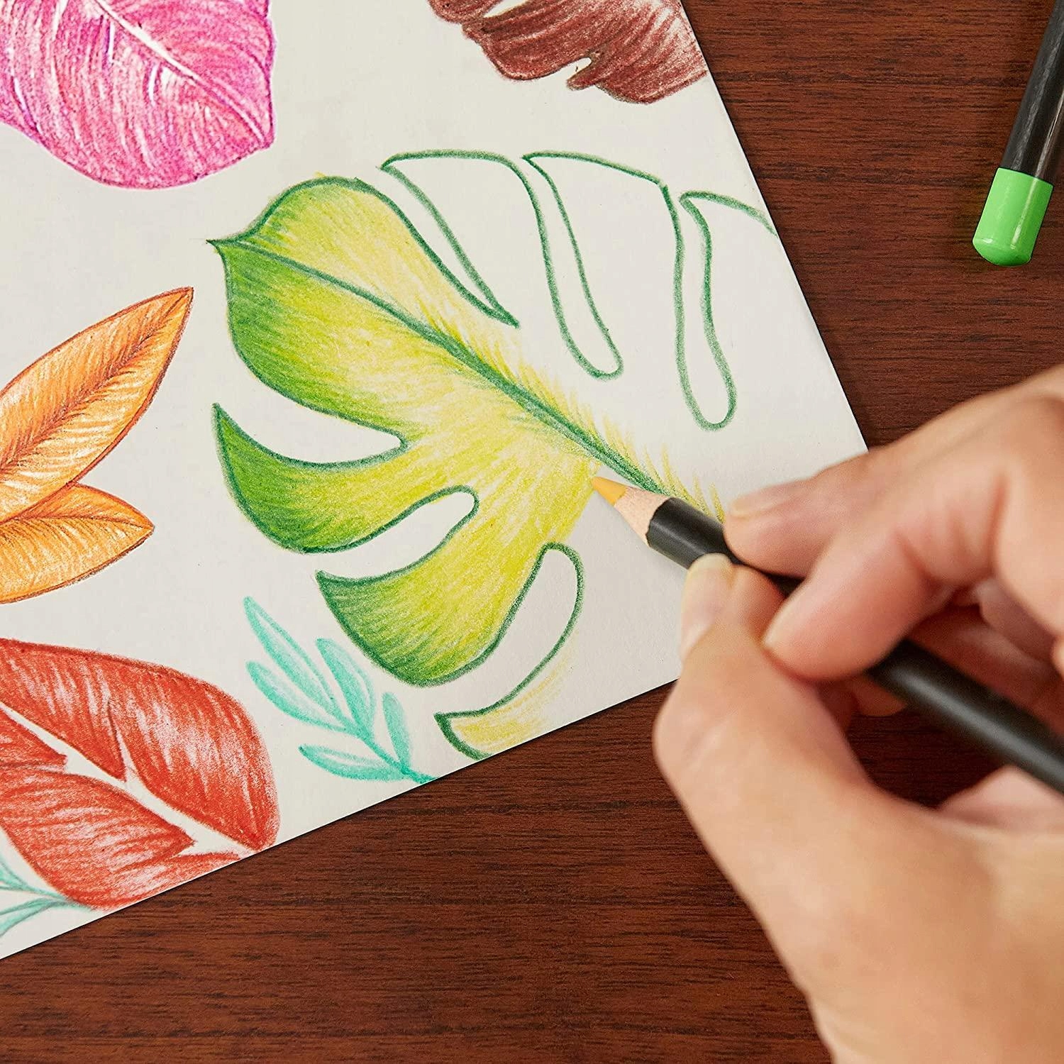 KREDKI OŁÓWKOWE INTENSITY BX36 8877