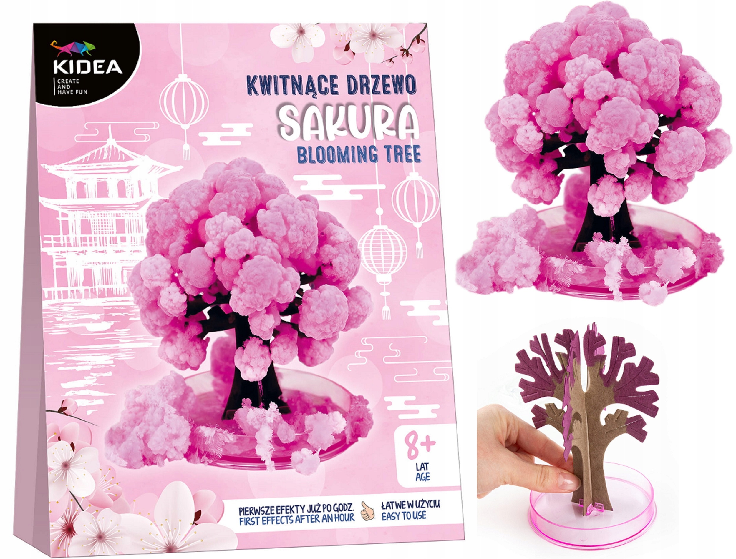 /{KWITNĄCE DRZEWO SAKURA KIDEA