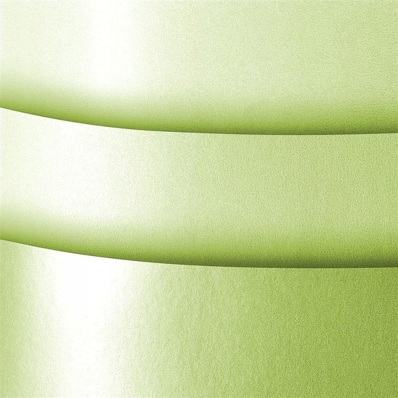 Karton Ozdobny Millenium Zielony 220G/M2 (20) 9156