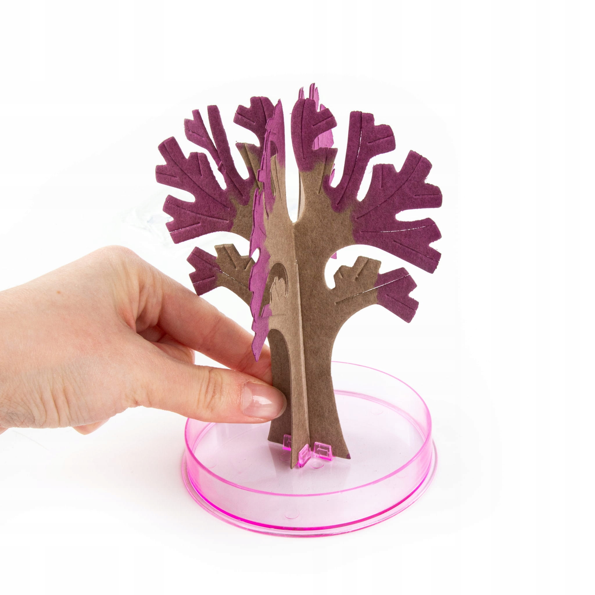 /{KWITNĄCE DRZEWO SAKURA KIDEA