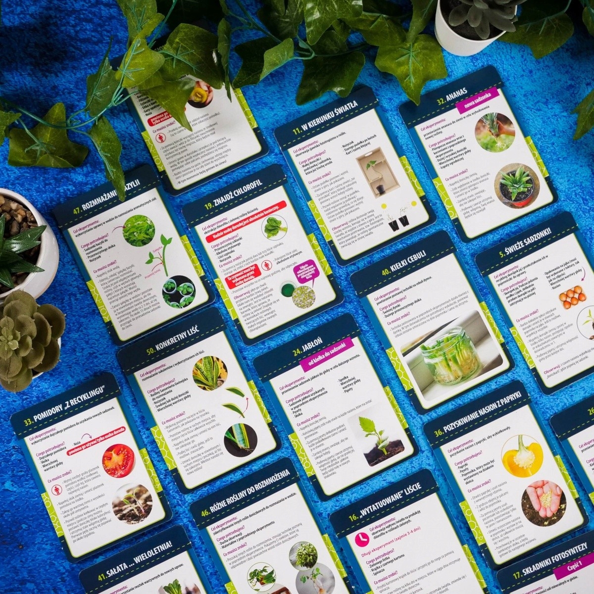 LISCIANI I'M GENIUS NAUKA W DOMU BOTANIKA 1368