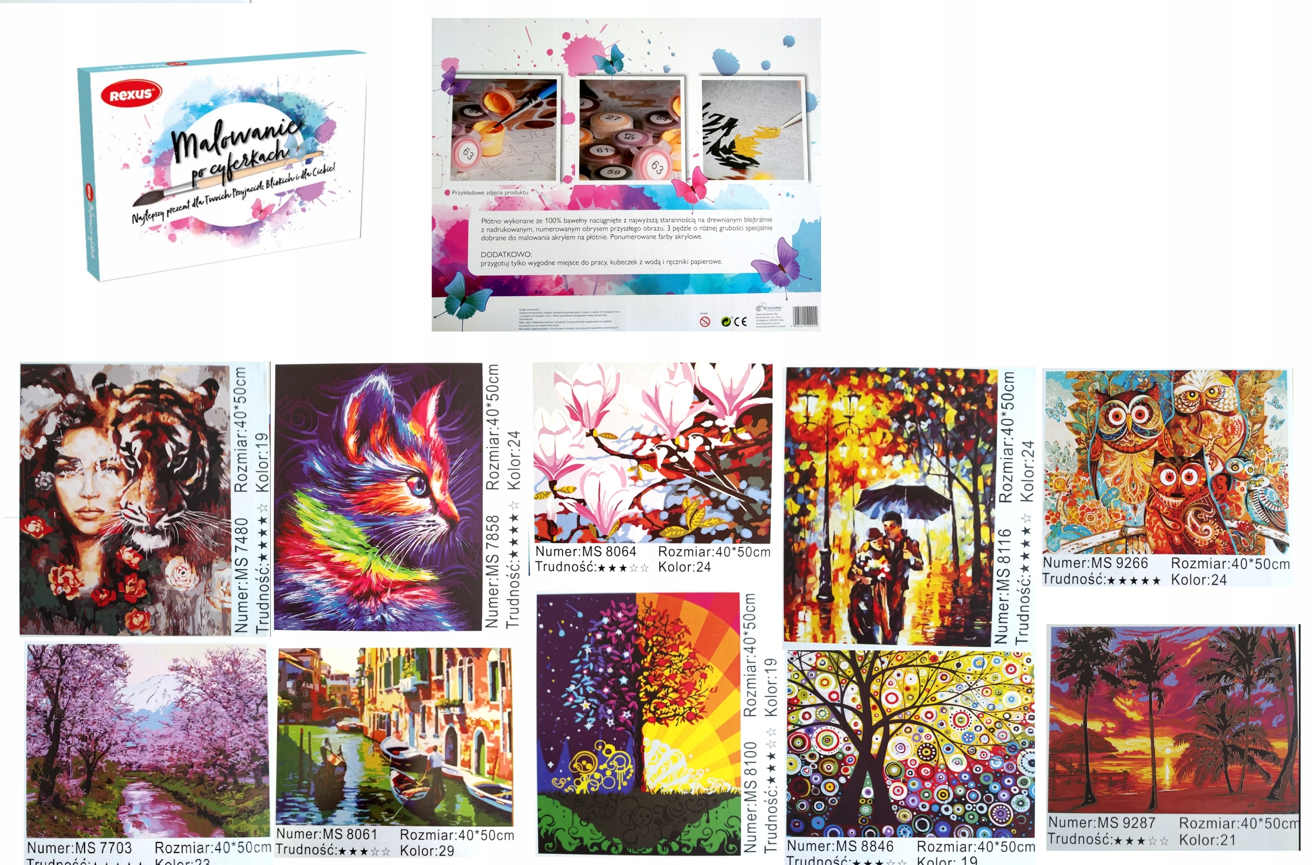 ZESTAW ART MALOWANIE PO NUMERACH CYFERKACH 40 x 50