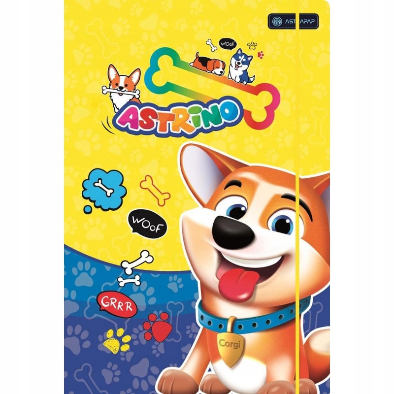 Teczka Z Gumką Astrapap A4 Astrino 1198 A'10