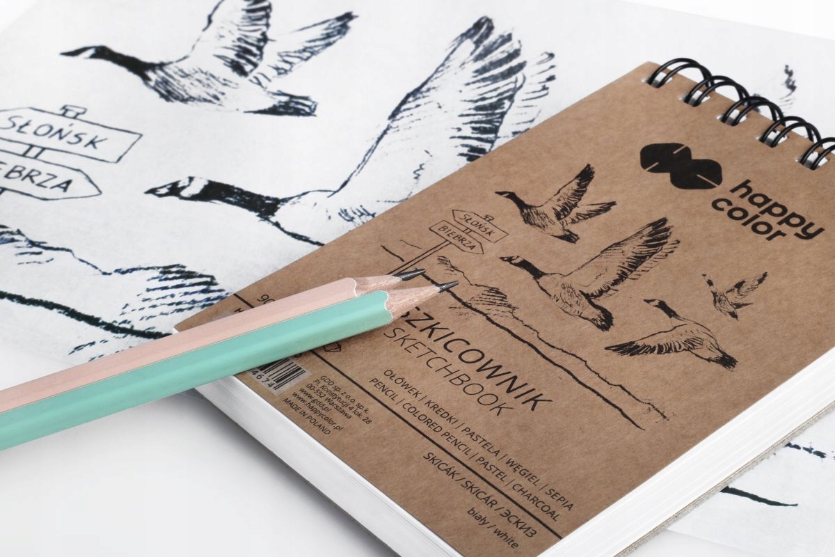 SZKICOWNIK NA SPIRALI PTAKI A6 BIAŁ 80ARK/90G 4674