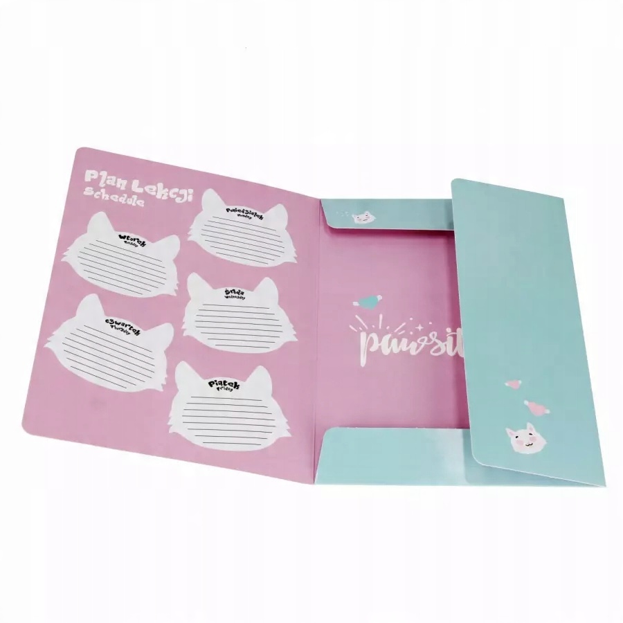 Teczka Z Gumka Pap A4 Kitty Stk Fol10 100