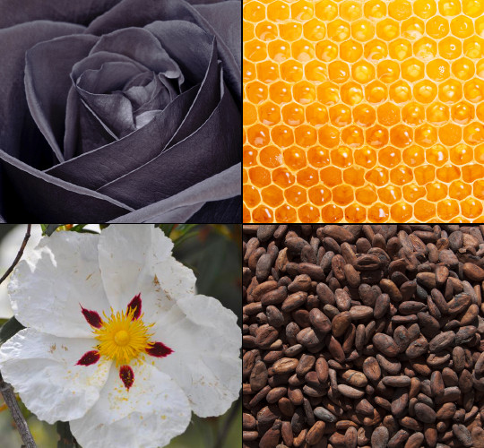 krem do rąk tesori d'oriente byzantium 75 ml