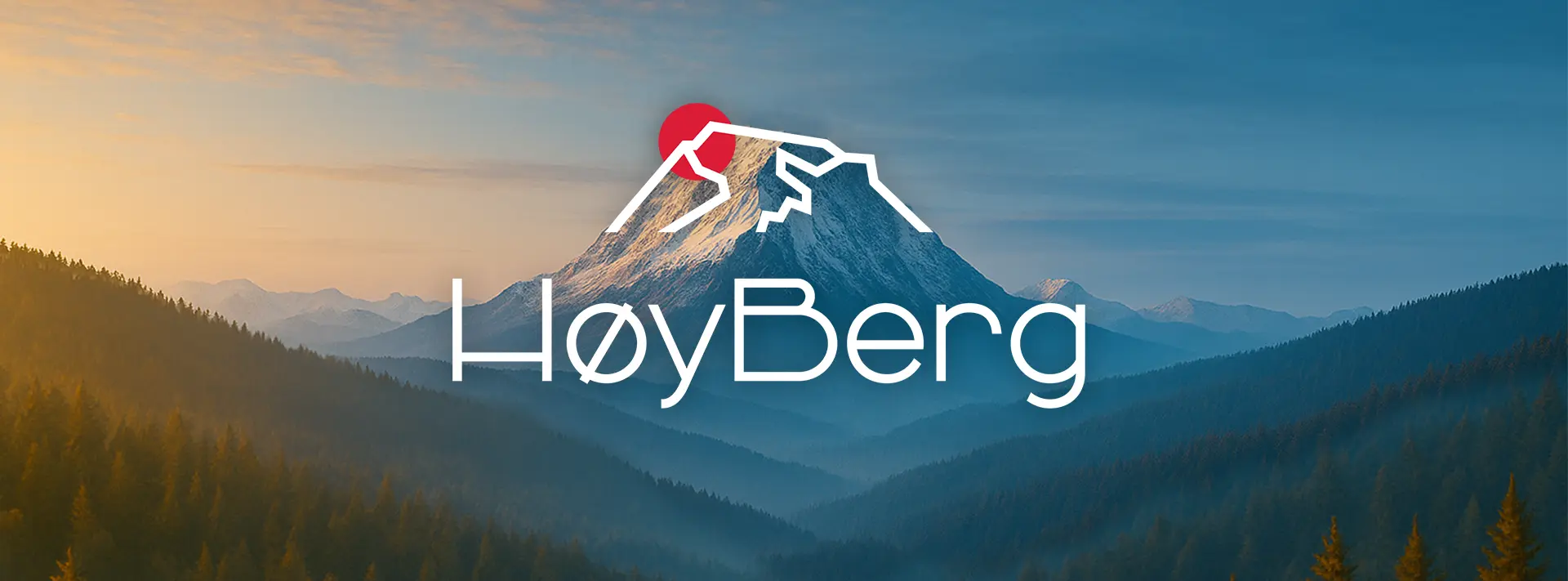 Model poarta boxeri HøyBerg