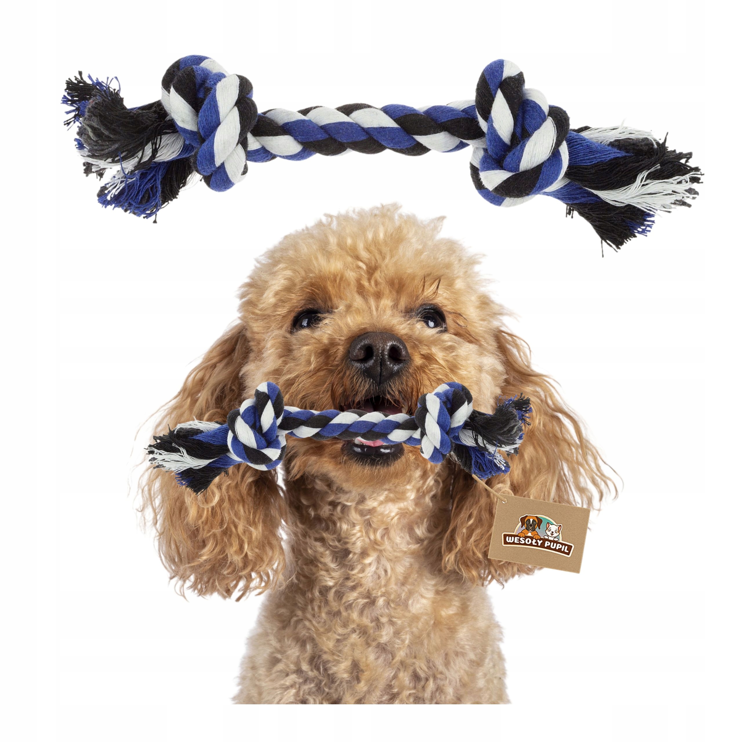 spielzeug für den hund Spielzeug für einen Hund oder Welpen, geflochtenes DENTAL TUG ROPE