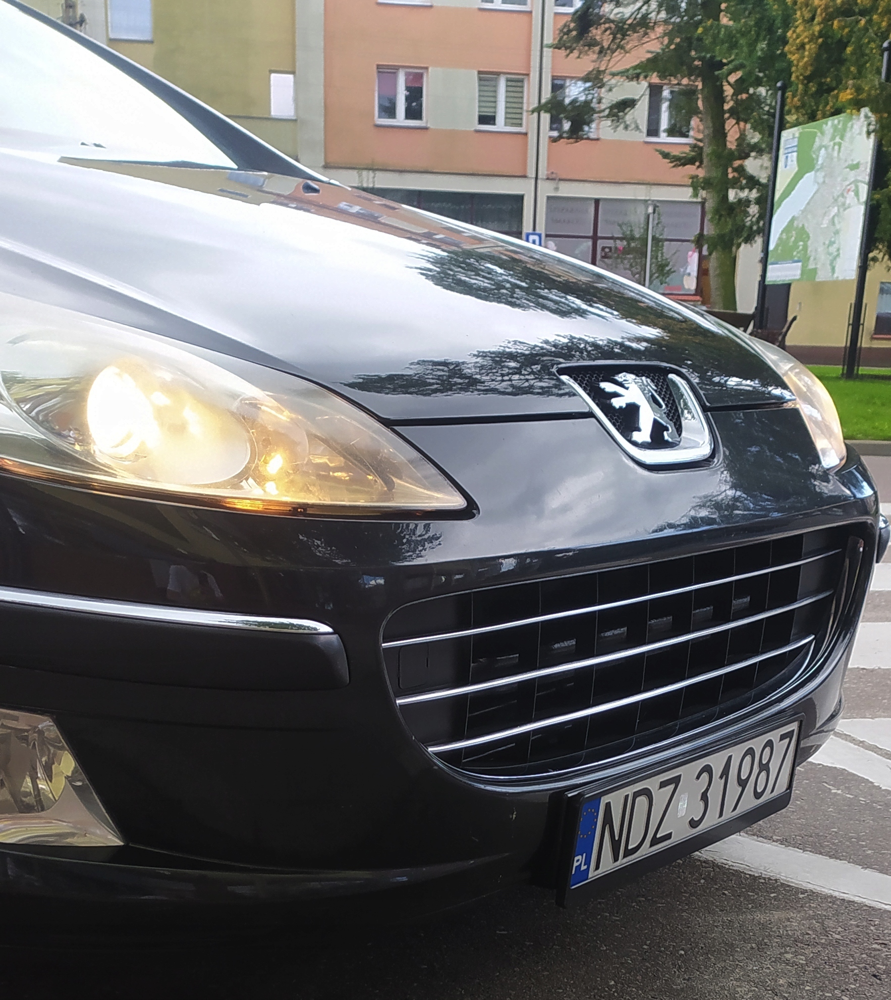 Podrobnosti o kromiranih letvicah za Peugeot 407