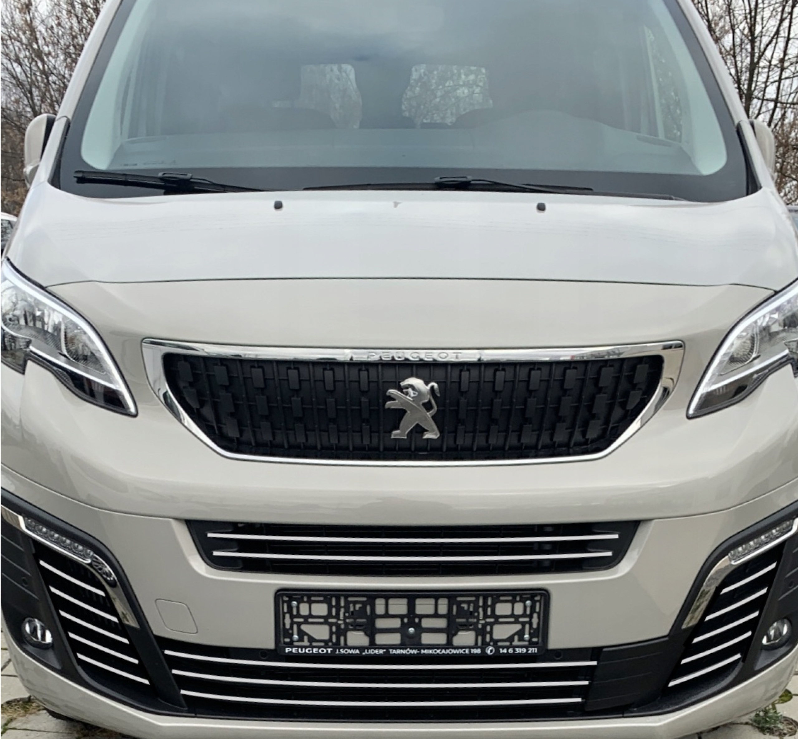 Krom za branik Peugeot Expert