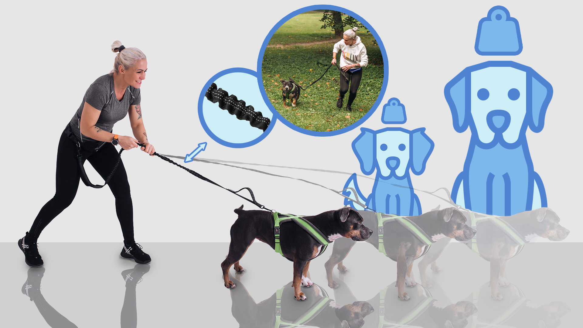 Hftgurt mit elastischer Leine zum Laufen mit Hund | eBay.de