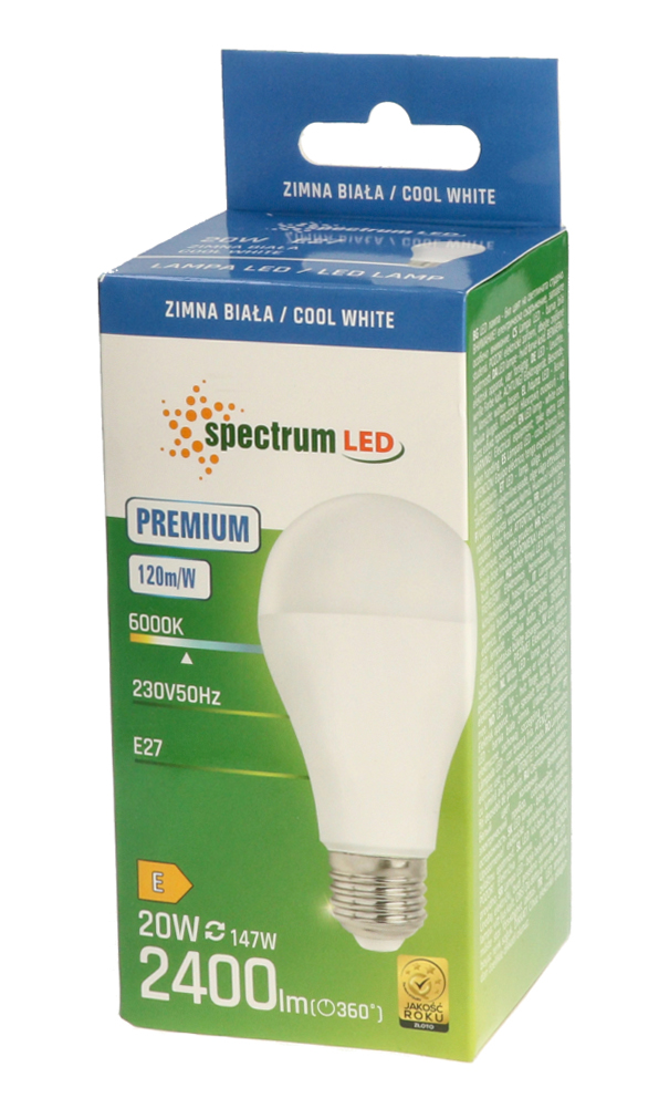 Żarówka LED GLS E27 20W barwa zimna PREMIUM 10 SZTUK SPECTRUM LED