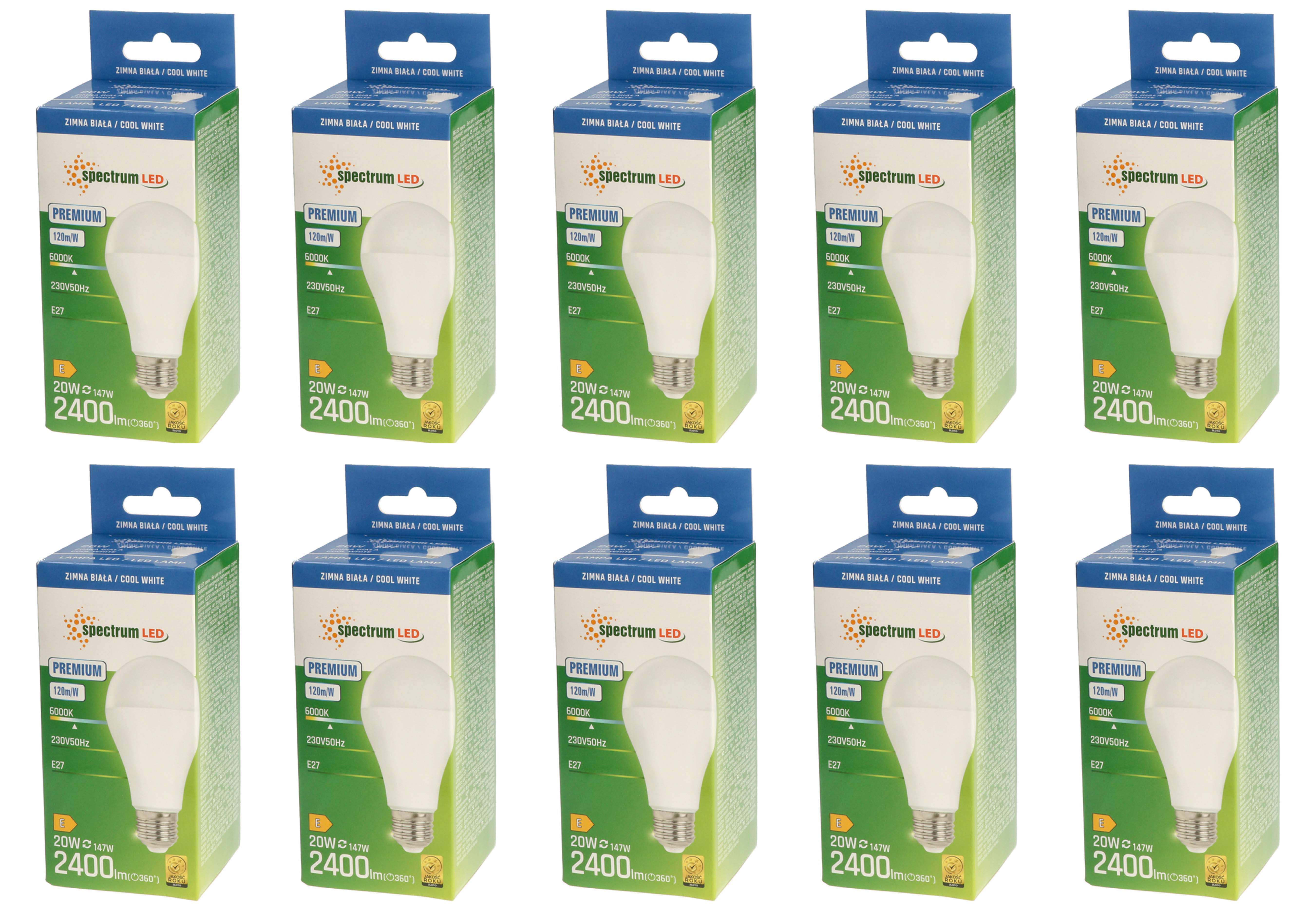 Żarówka LED GLS E27 20W barwa zimna PREMIUM 10 SZTUK SPECTRUM LED