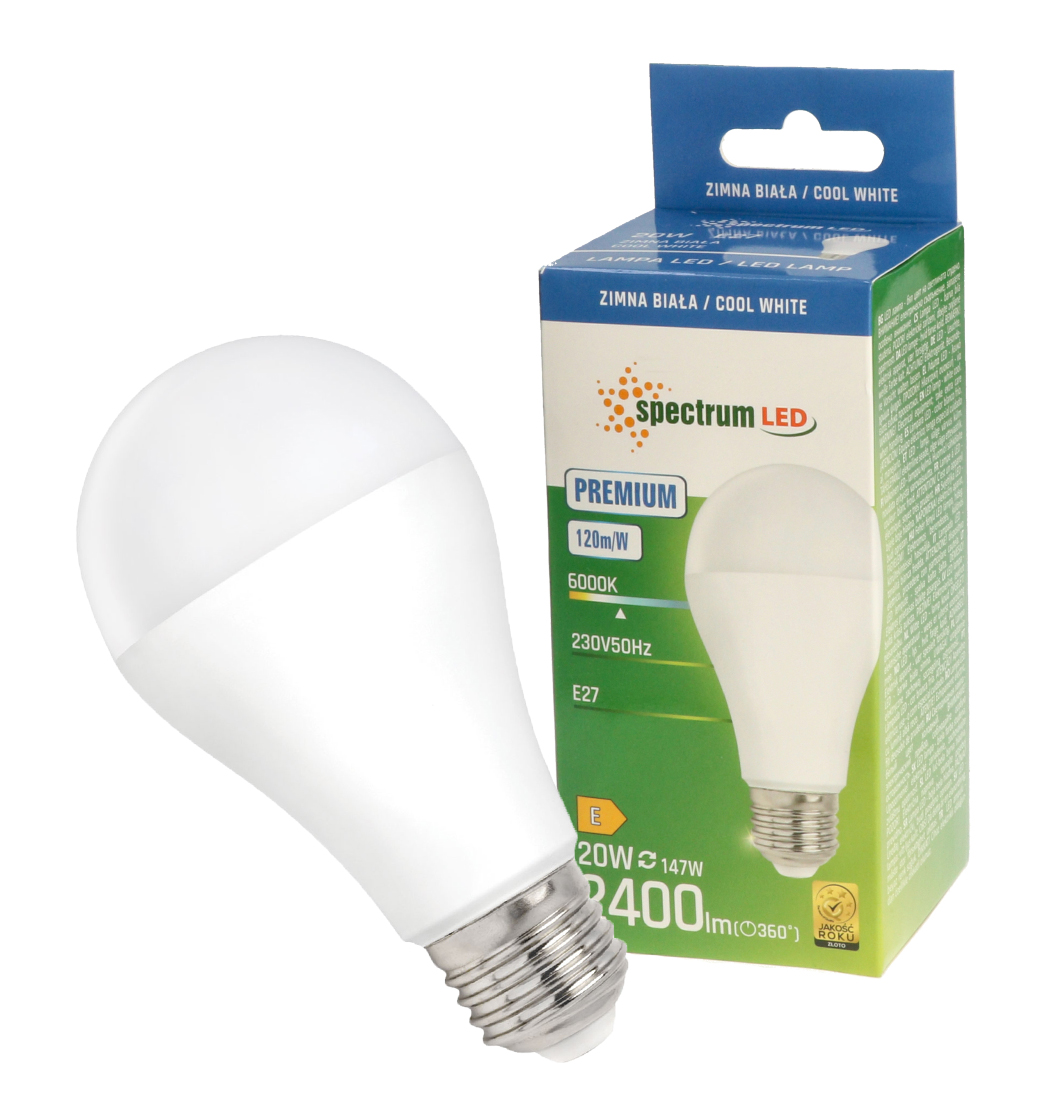 Żarówka LED GLS E27 20W barwa zimna PREMIUM 10 SZTUK SPECTRUM LED