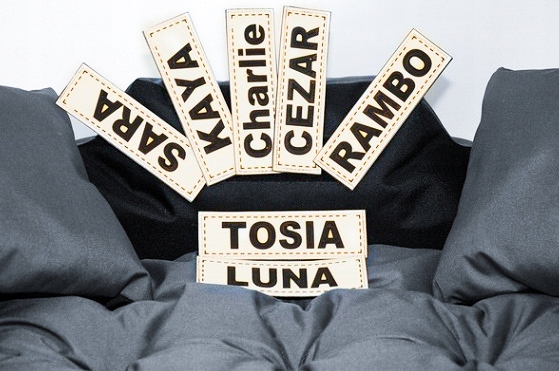 POSŁANIE dla PSA z IMIENIEM 100x75 + KOC POLAROWY