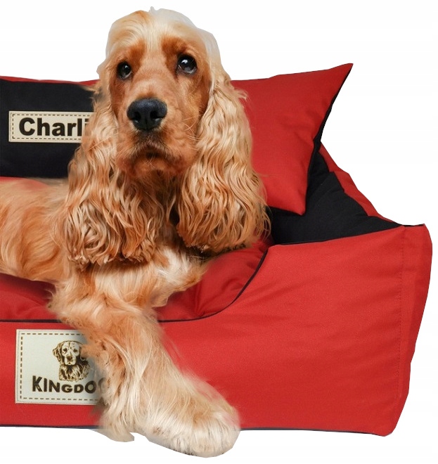 LEGOWISKO z IMIENIEM PSA 75x65 + KOCYK POLAROWY