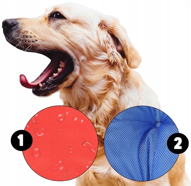 LEGOWISKO z IMIENIEM PSA 75x65 + KOCYK POLAROWY