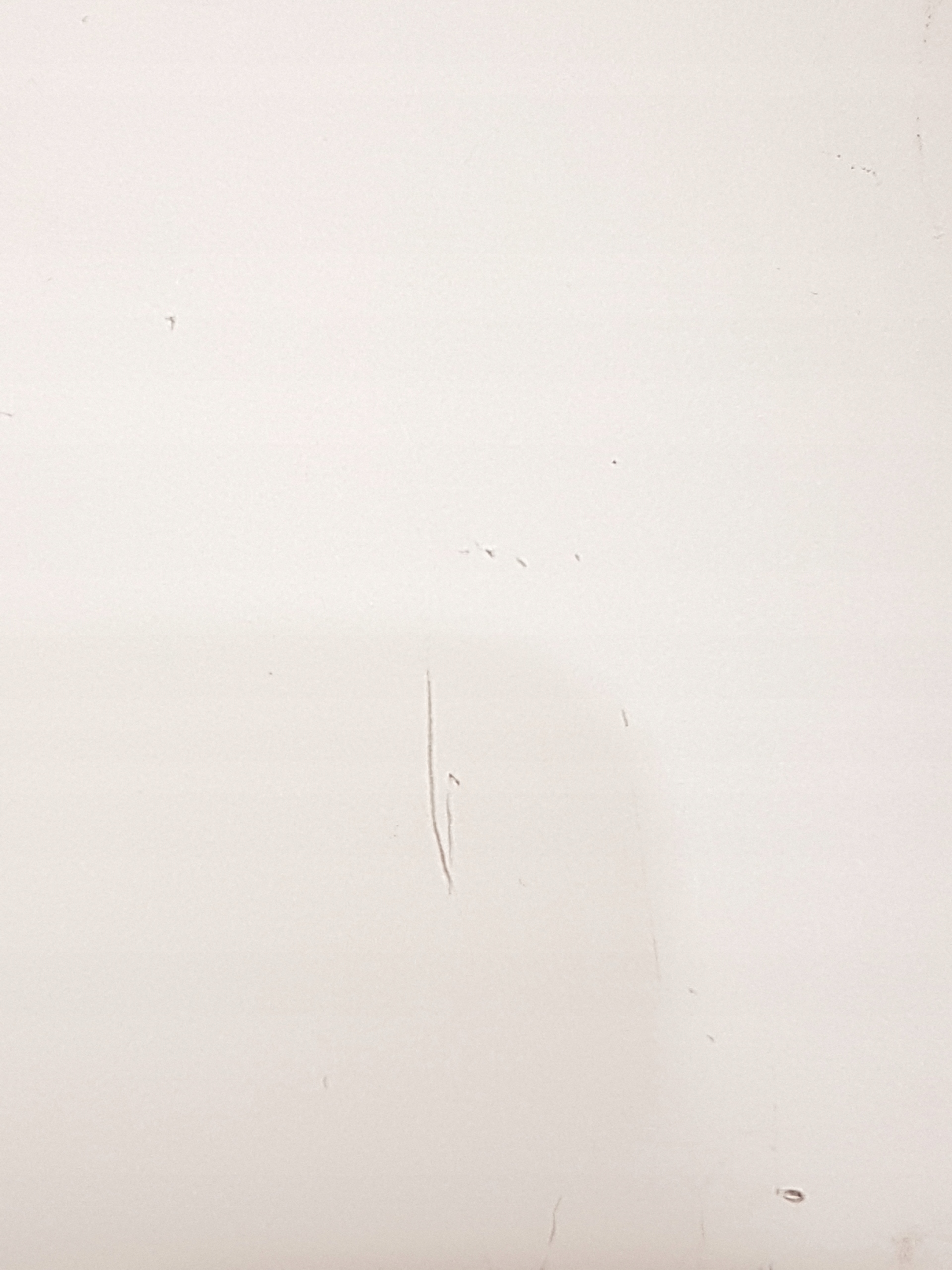 2409c00d252ff9fce4557b6d4b19be06.jpg