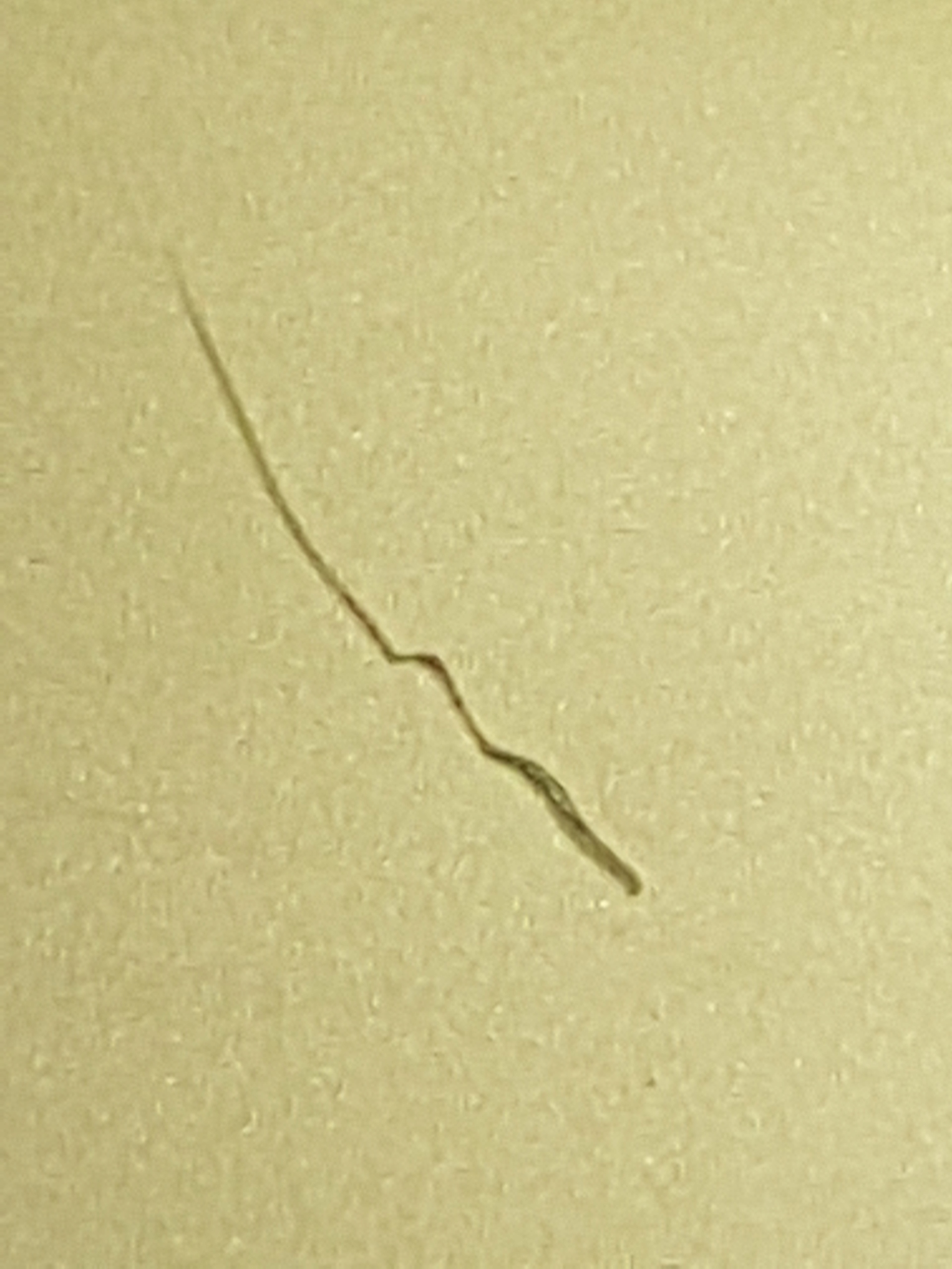 81112267250977daf5be2713e35d9922.jpg