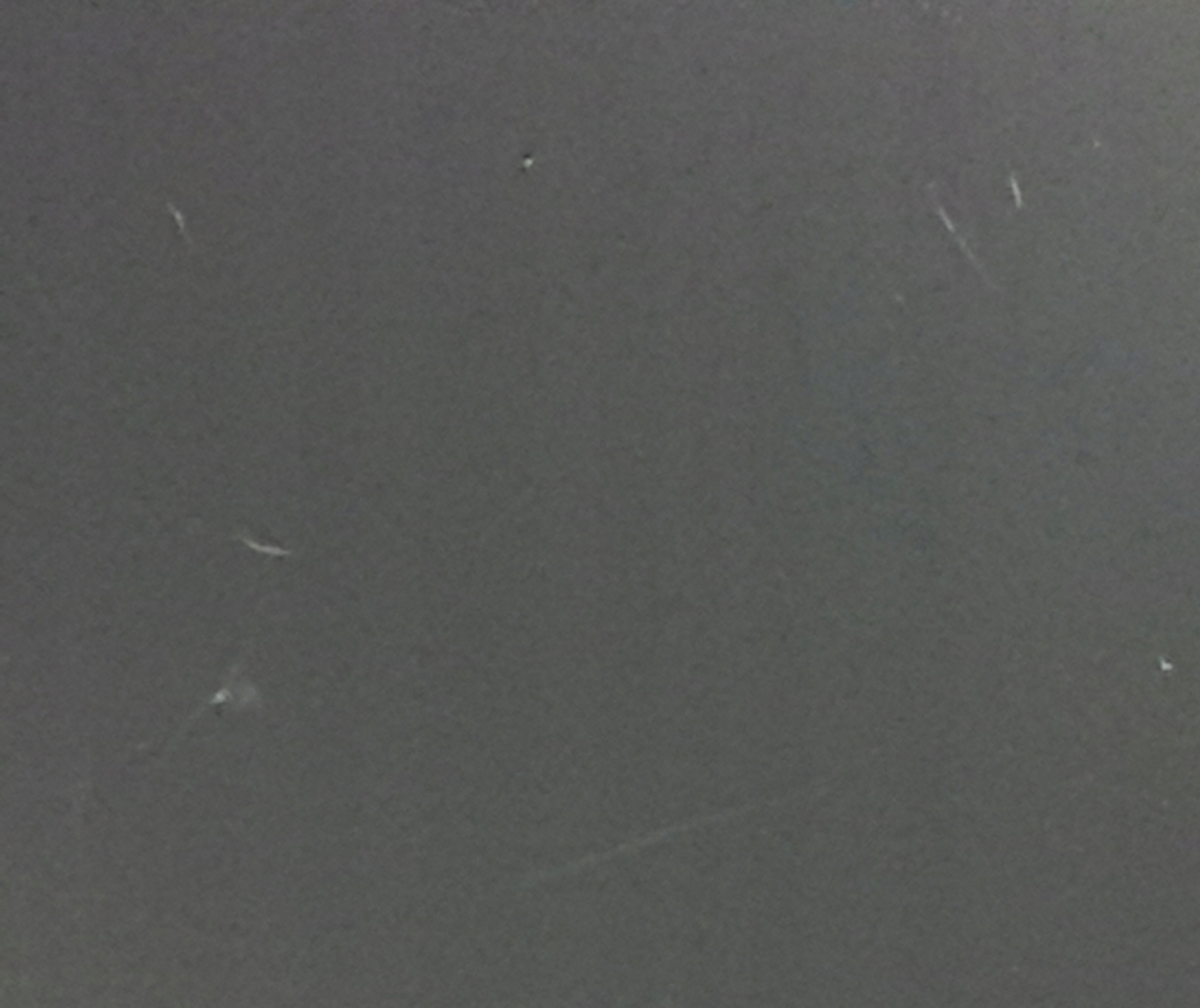 aea4d727f212378dcbd654c25ee35358.jpg