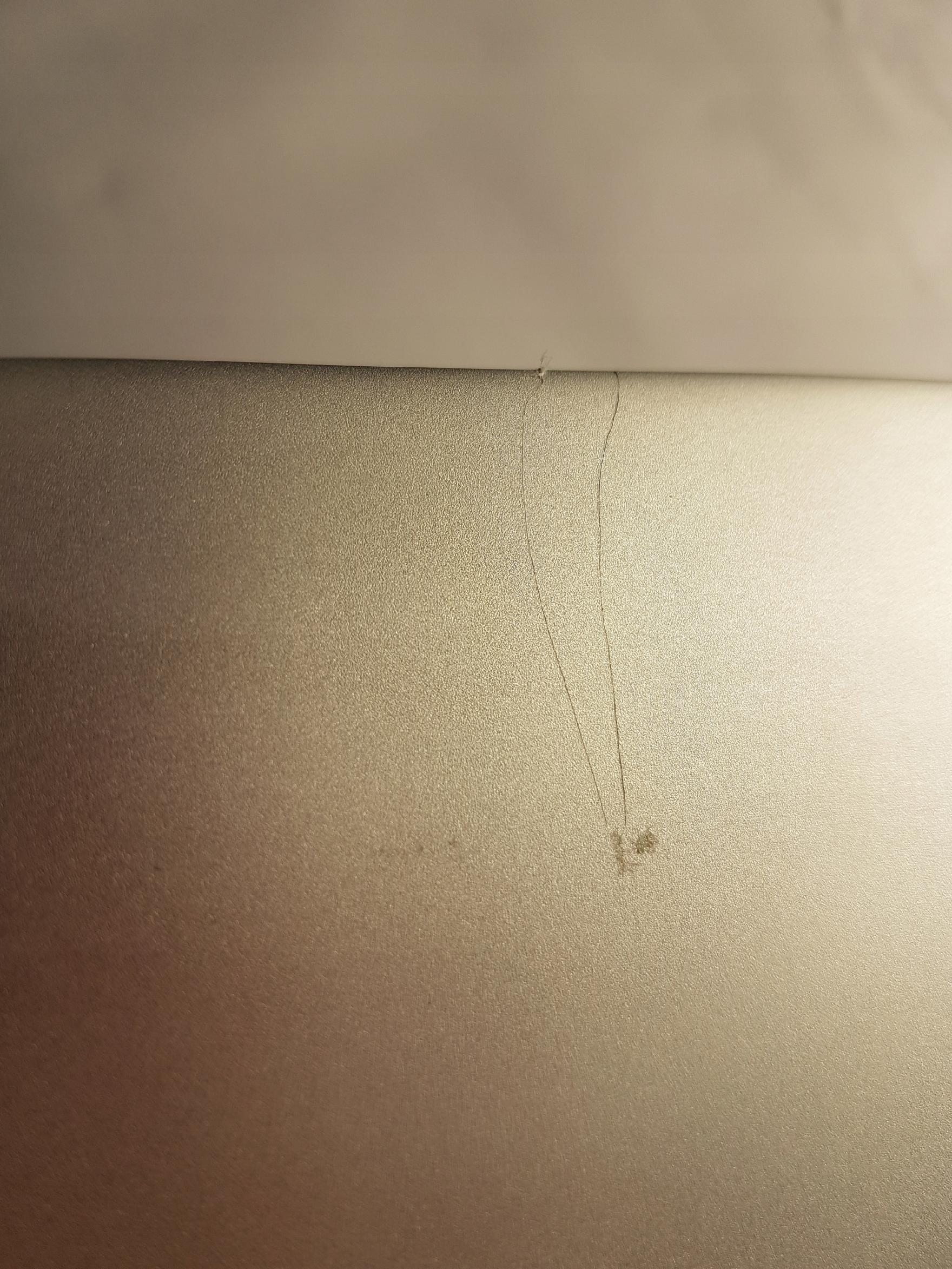 bf98a6d38a13a4f6caa75692e60392bc.jpg
