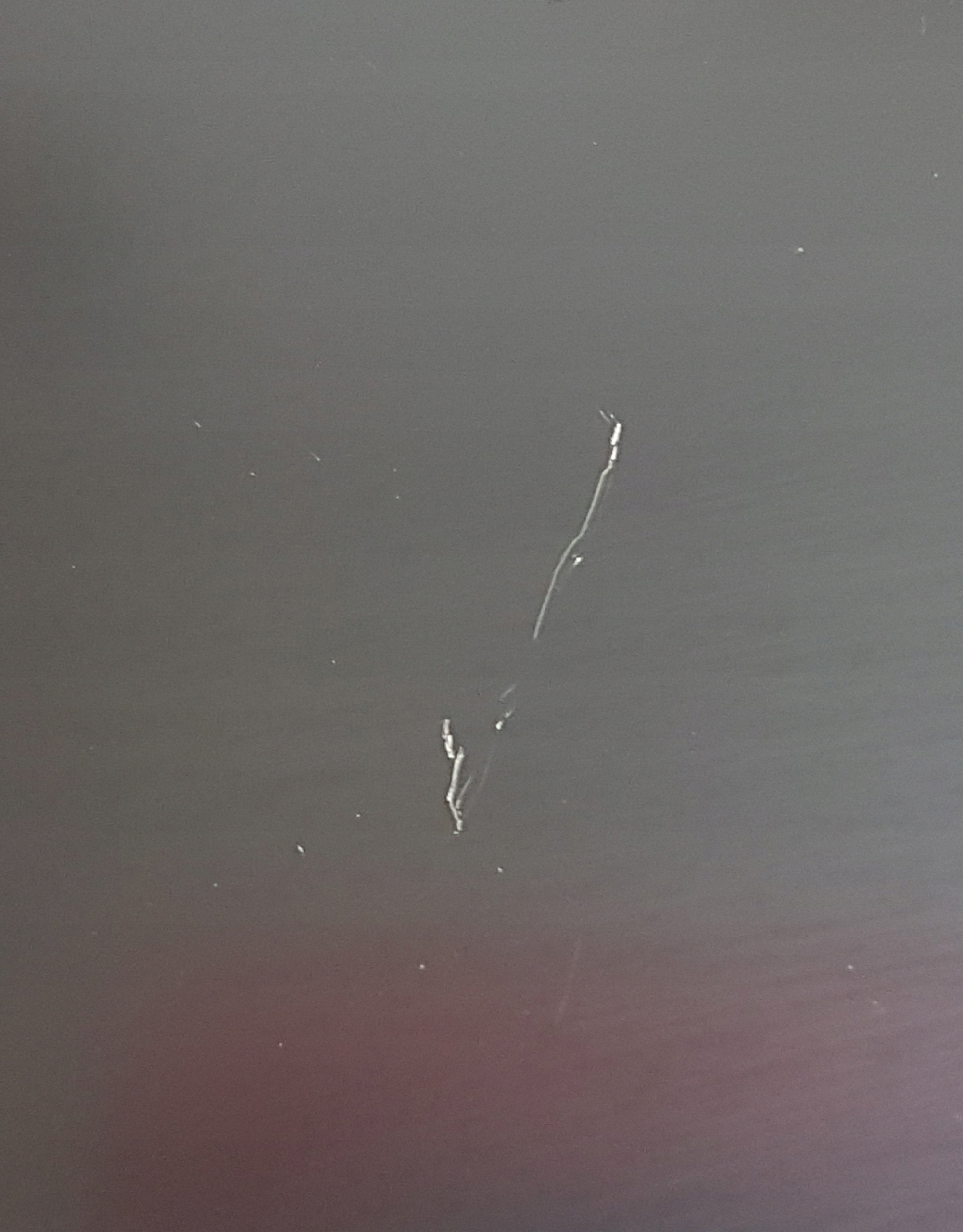 f863348d52524bdbe59035ada691224f.jpg