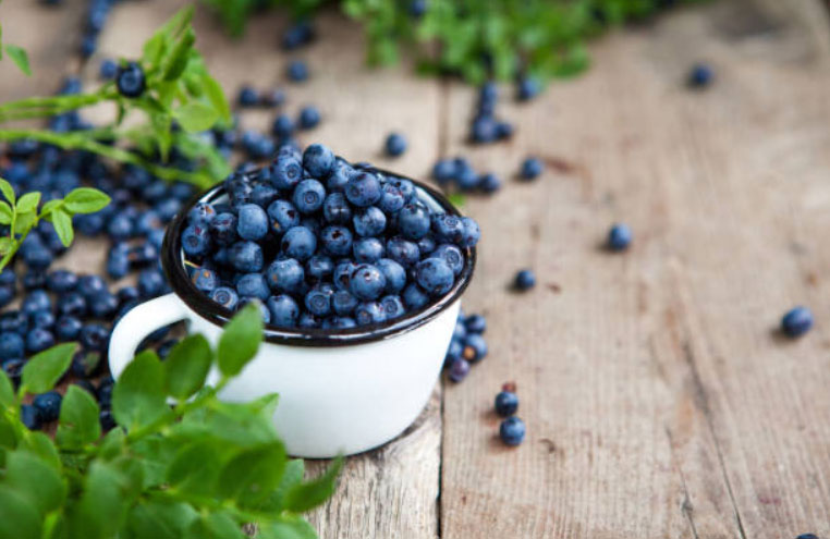 Owoce borówki