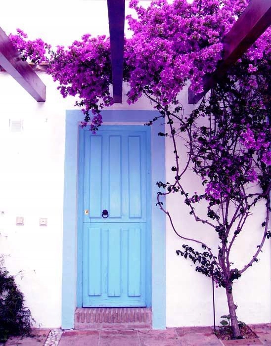 Zastosowanie Lagerstroemii