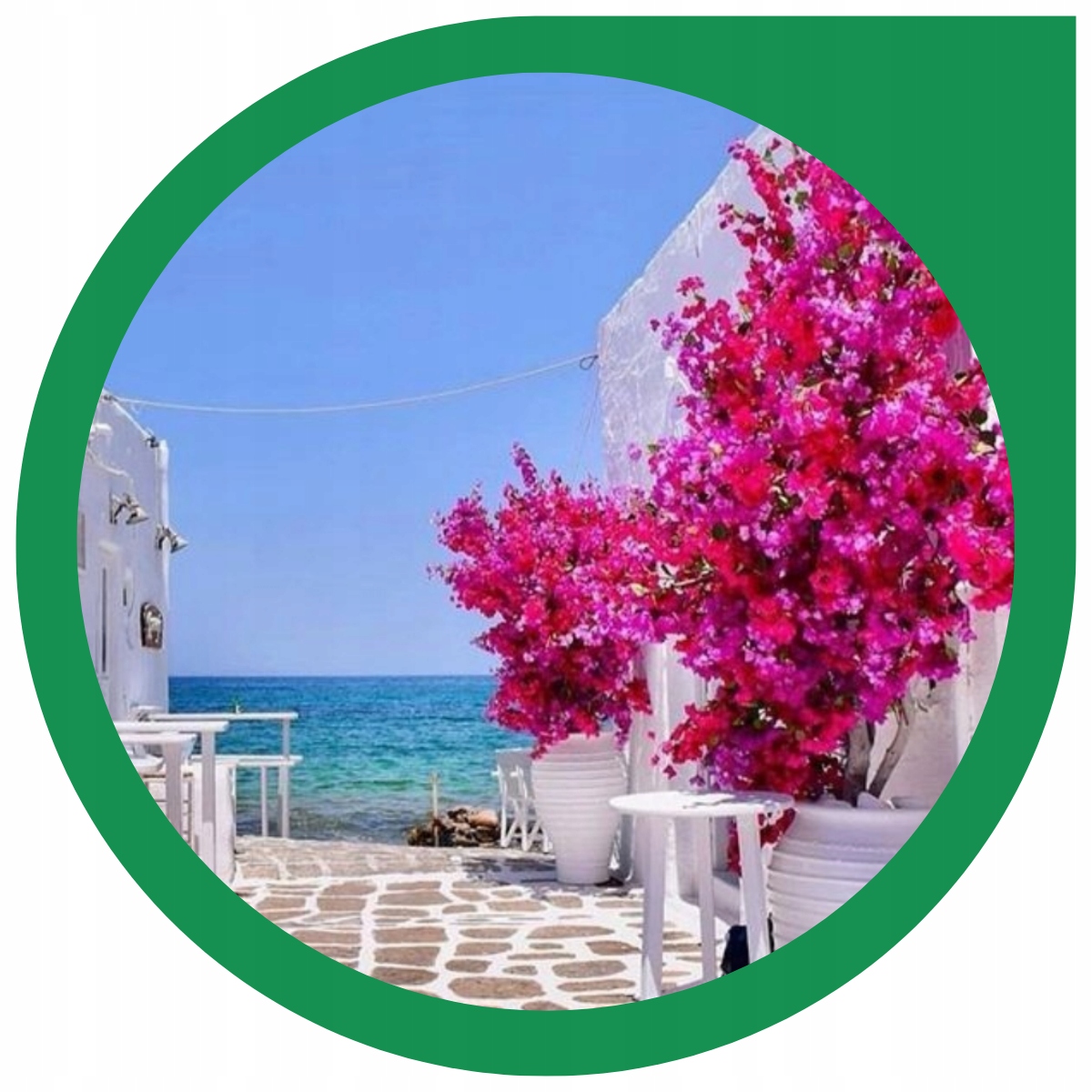 Uprawa Lagerstroemii w ogrodzie