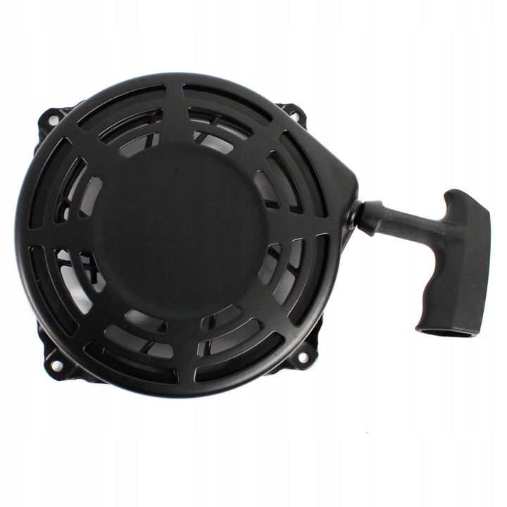 SZARPAK ROZRUSZNIK STARTER Briggs Stratton QUANTUM