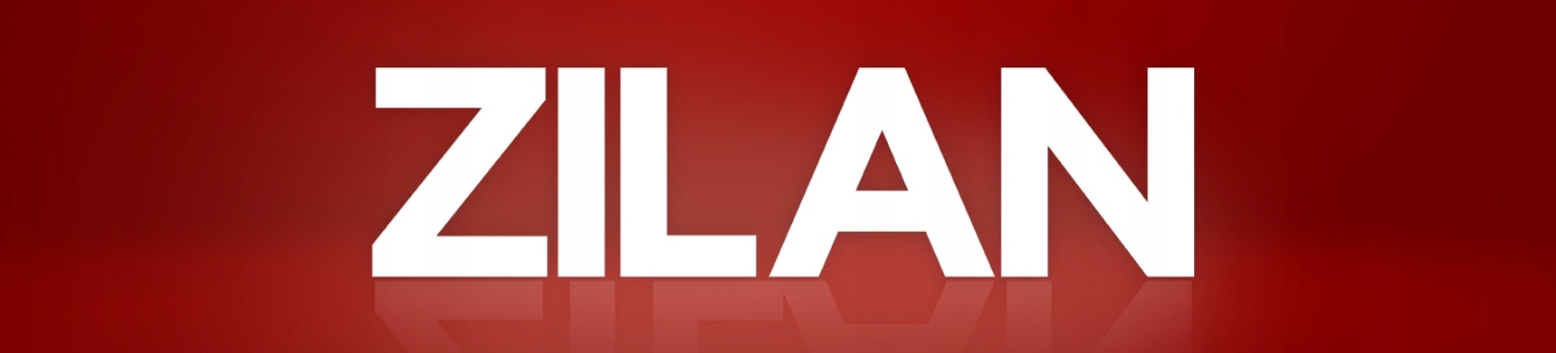 TERMOWENTYLATOR GRZEJNIK CERAMICZNY ZILAN 2000W