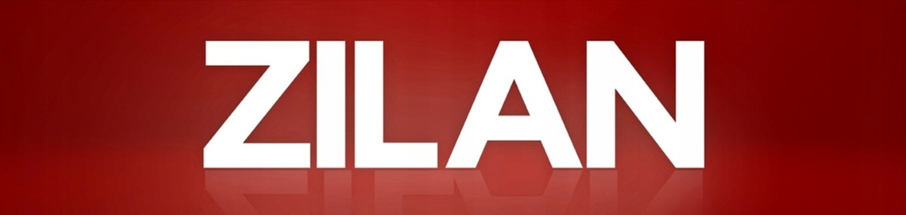 BLENDER KIELICHOWY MIKSER ZILAN BPA FREE 2 BIEGI + PULSE 500W