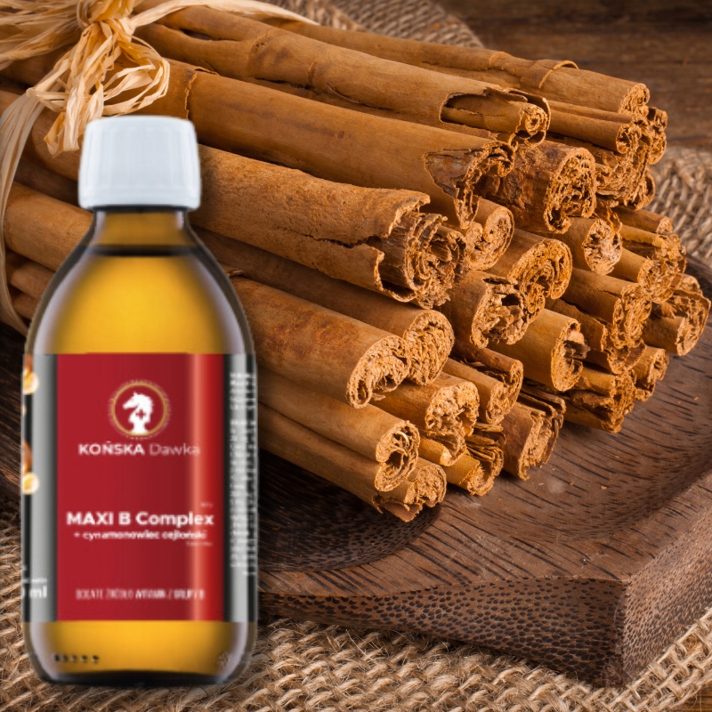 Witamina B B1B2 B3 KOŃSKA DAWKA Cynamonowiec cejloński MAXI B Complex 125ml