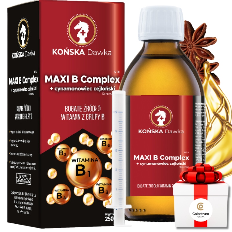 Witamina B B1B2 B3 KOŃSKA DAWKA Cynamonowiec cejloński MAXI B Complex 125ml