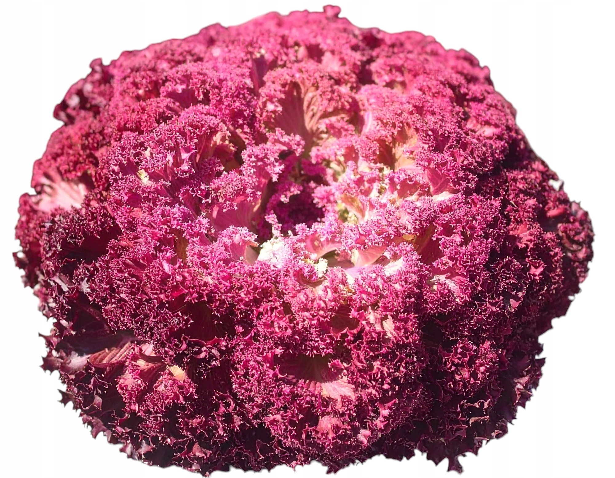 3d339c944890eb290e4a33d2d78cbb77.jpg