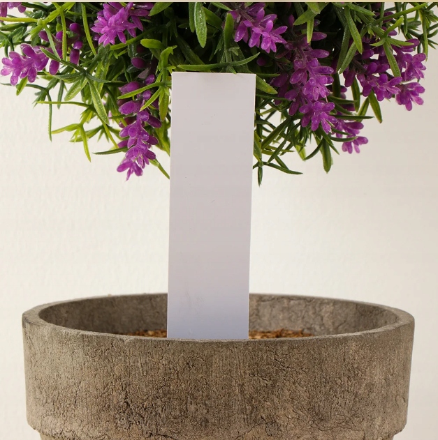 723401d7b5a50eb56fb938353d0a0e23.jpg