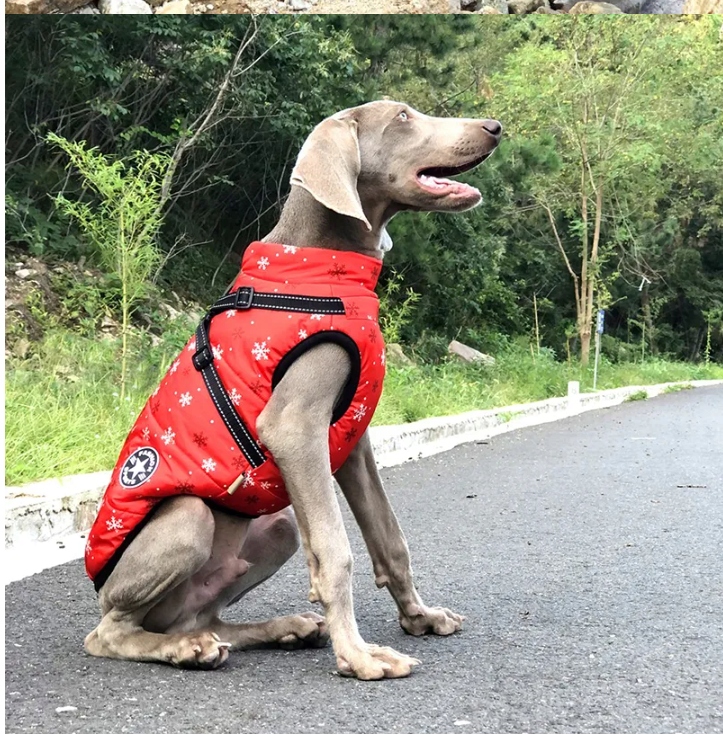 9e09d3f3f767836510344e7120c1d570.jpg