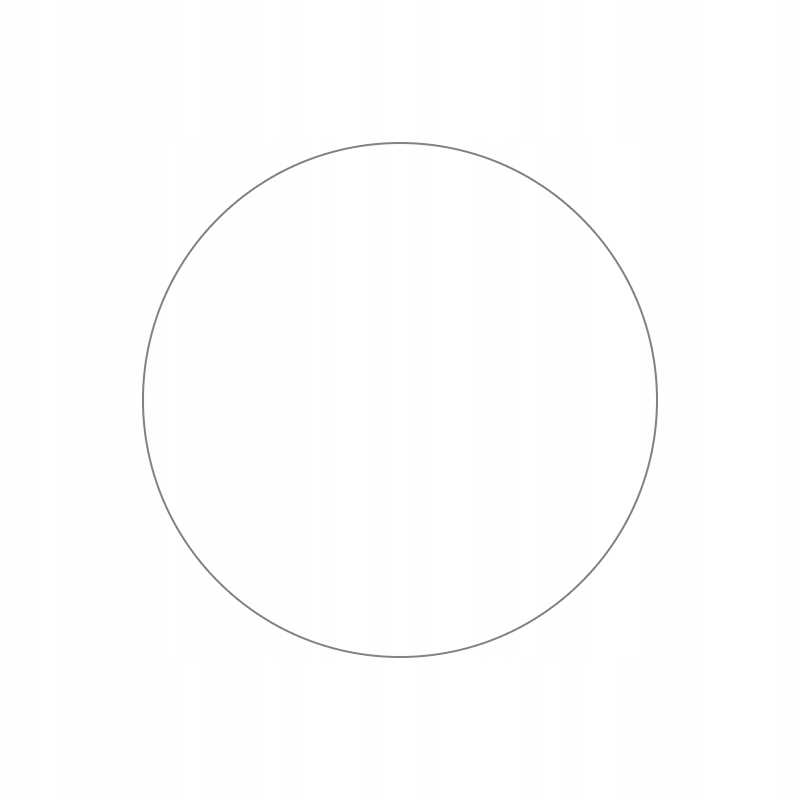 Spacecase SW Glass 2.5D Amazfit T-Rex 2