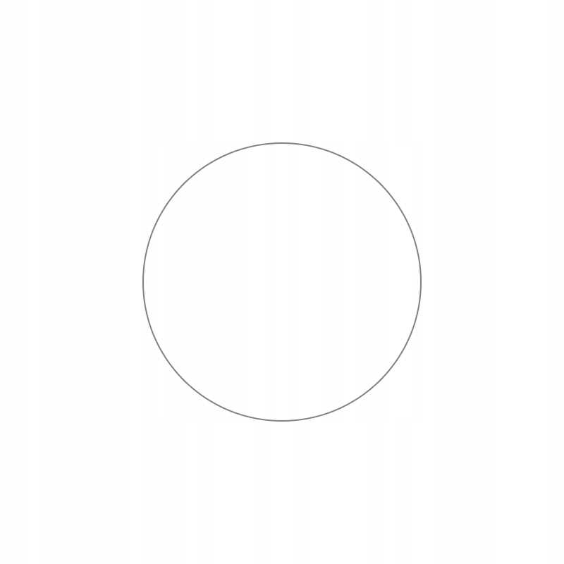 Spacecase Sw Glass 2.5D Garmin Fenix 5