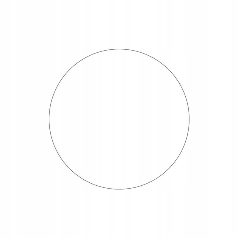 Spacecase Sw Glass 2.5D Garmin Fenix 7X / 7X Solar