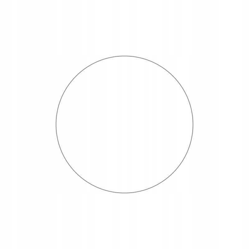 Spacecase Sw Glass 2.5D Garmin Fenix 6 / 6 Pro