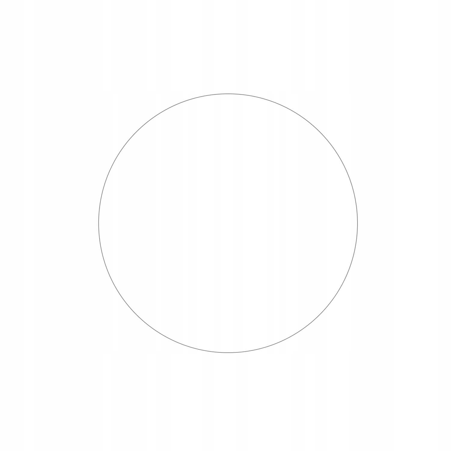 Spacecase SW Glass 2.5D Garmin Fenix 8 51mm