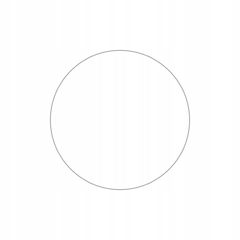 Spacecase SW Glass 2.5D Garmin Forerunner 255 46mm