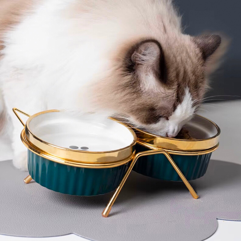 Zestaw 2x300ml miska dla kota psa podwójna na stojaku ceramiczna złota uszy