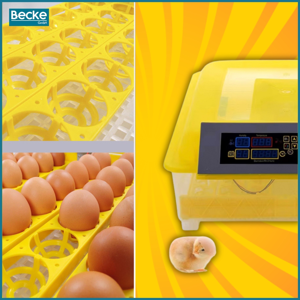 Inkubator wylęgarka klujnik automatyczny do wylęgu drobiu hodowla 48 jajek