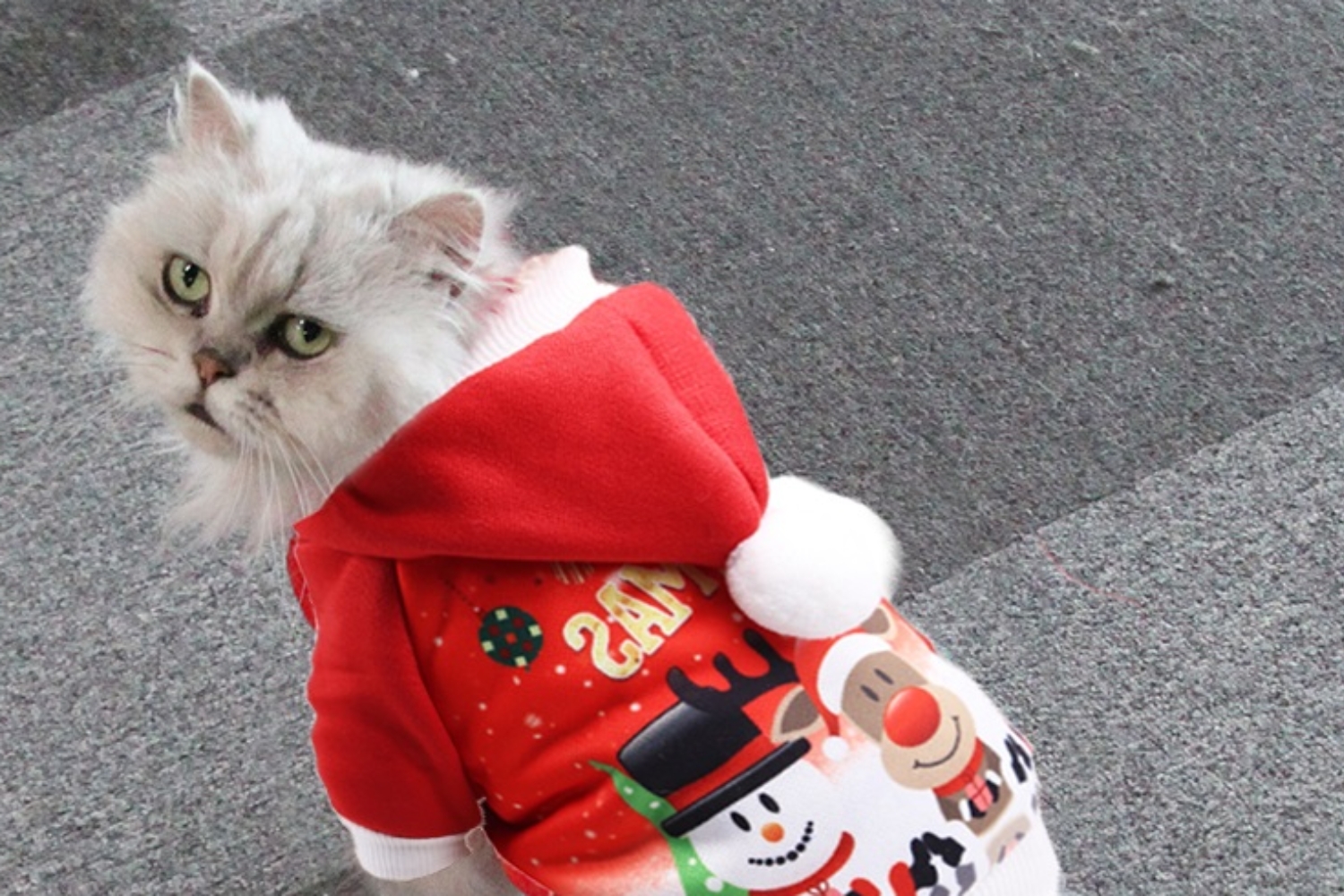 Ubranko przebranie dla psa świąteczne - XS