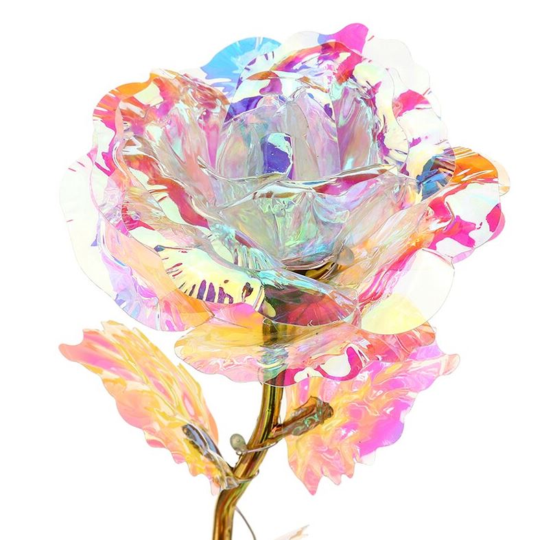 Wieczna róża tęczowa