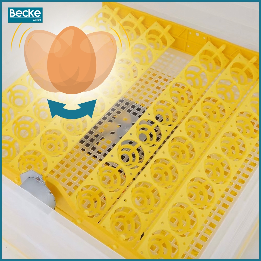 Inkubator wylęgarka klujnik automatyczny do wylęgu drobiu hodowla 48 jajek