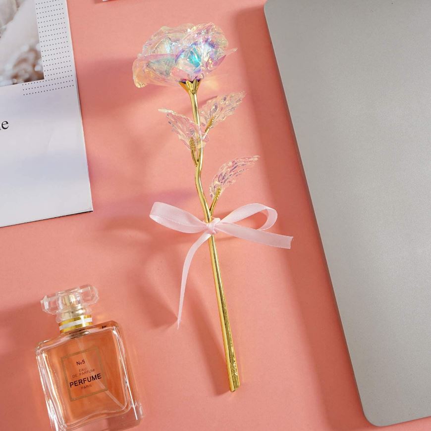 Wieczna róża tęczowa