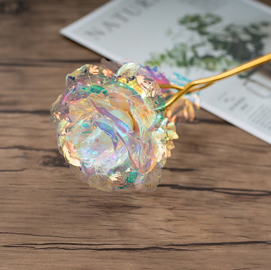 Wieczna róża tęczowa